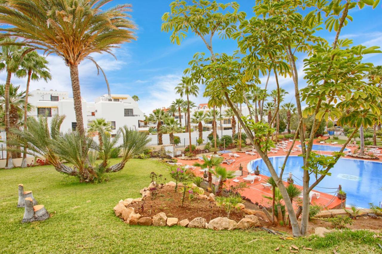 Studio Eldorado In Playa De Las Americas Near The Beach 아로나 외부 사진